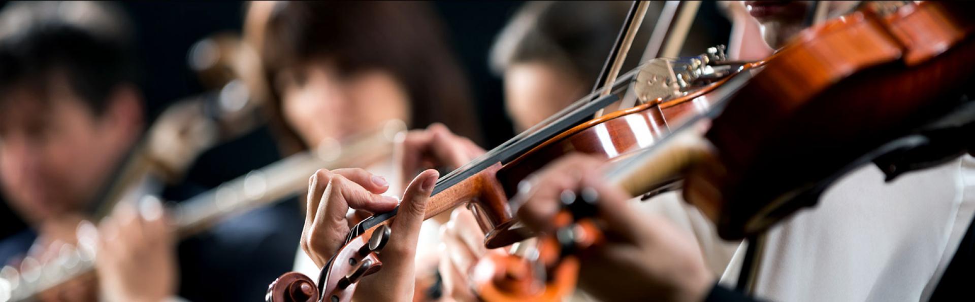 Choral Phydellius em Torres Novas