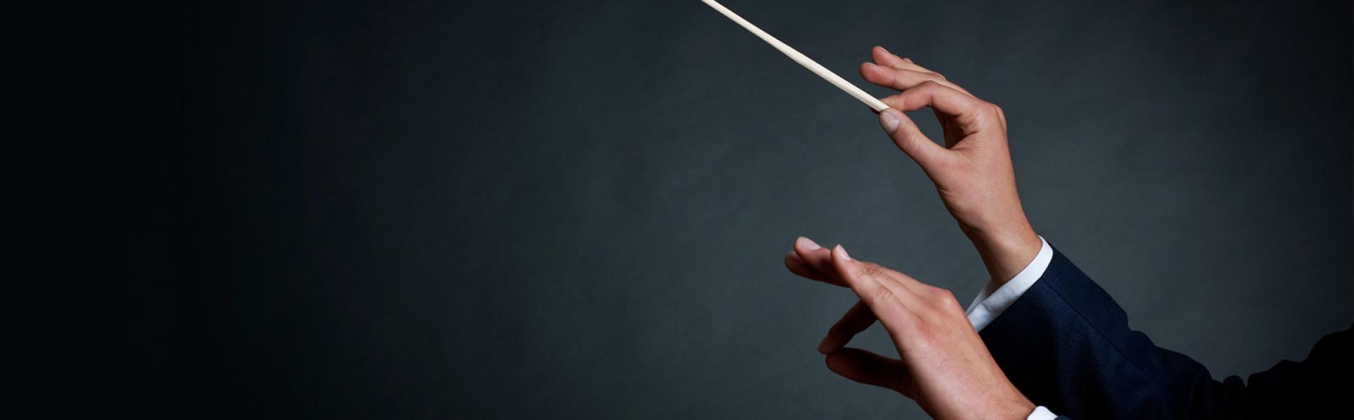 Choral Phydellius em Torres Novas