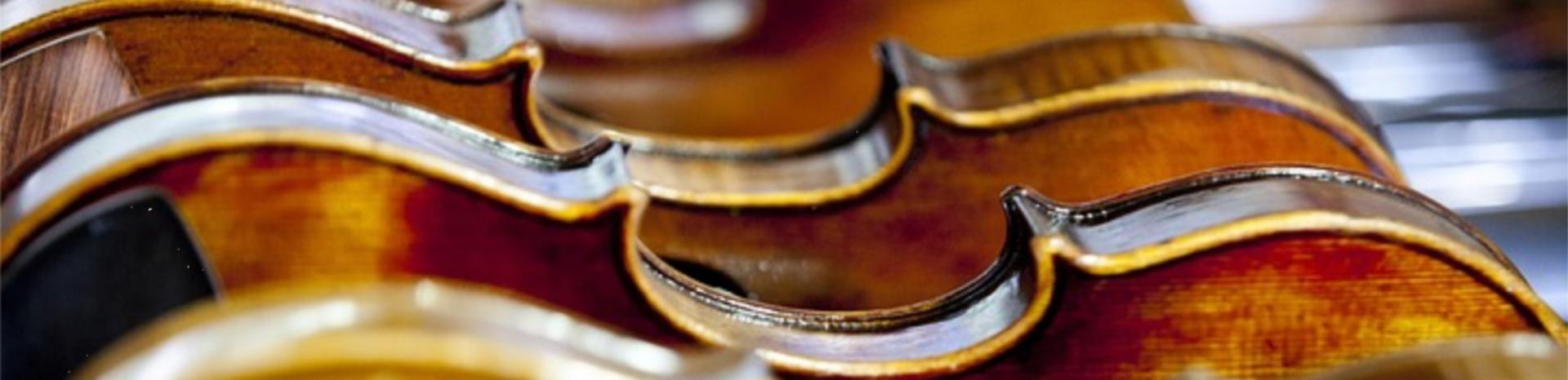 Choral Phydellius em Torres Novas